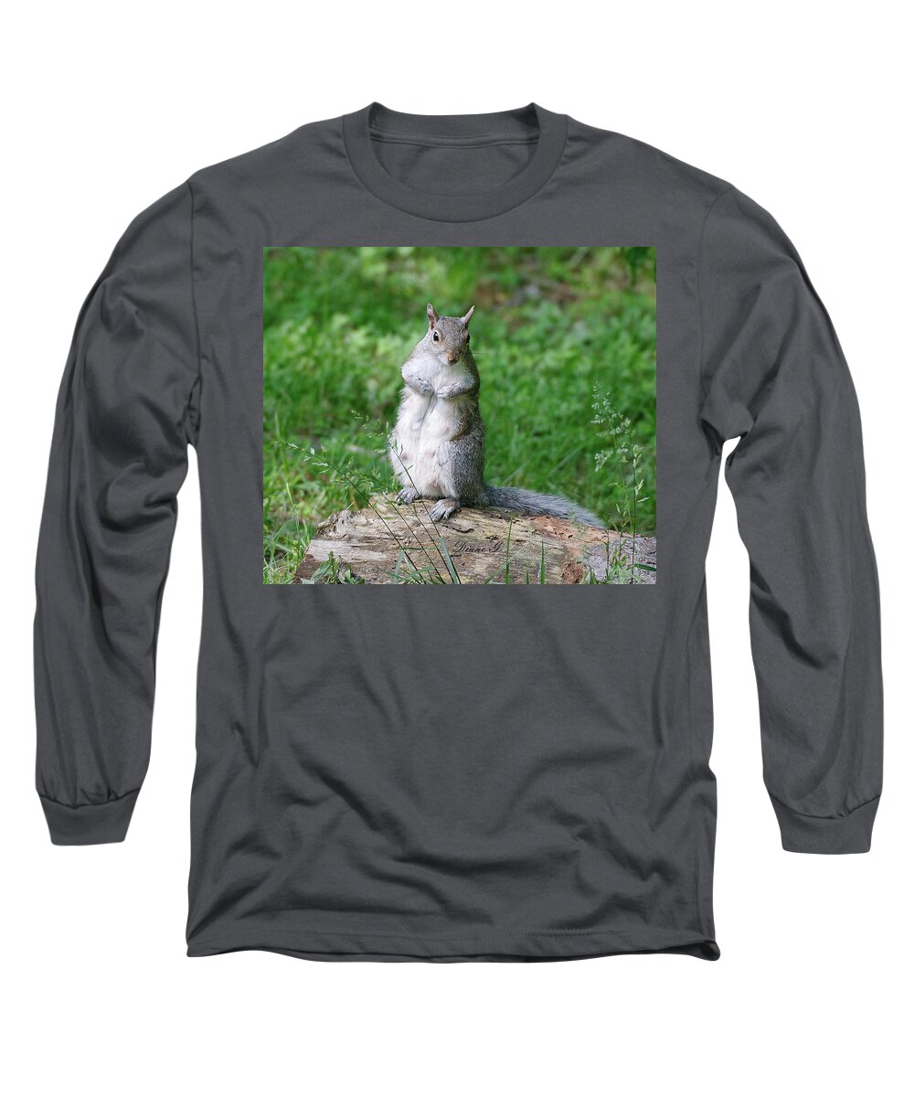 Mama Squirrel Long Sleeve T-Shirt featuring the photograph Mama Squirrel by Diane Giurco