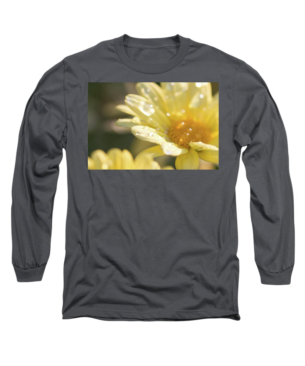 Daisy Long Sleeve T-Shirt featuring the photograph Marguerite by Carrie Hannigan
