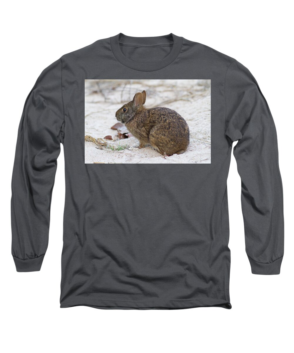 Rabbit Long Sleeve T-Shirt featuring the photograph Marsh Rabbit on Dune by Paul Rebmann