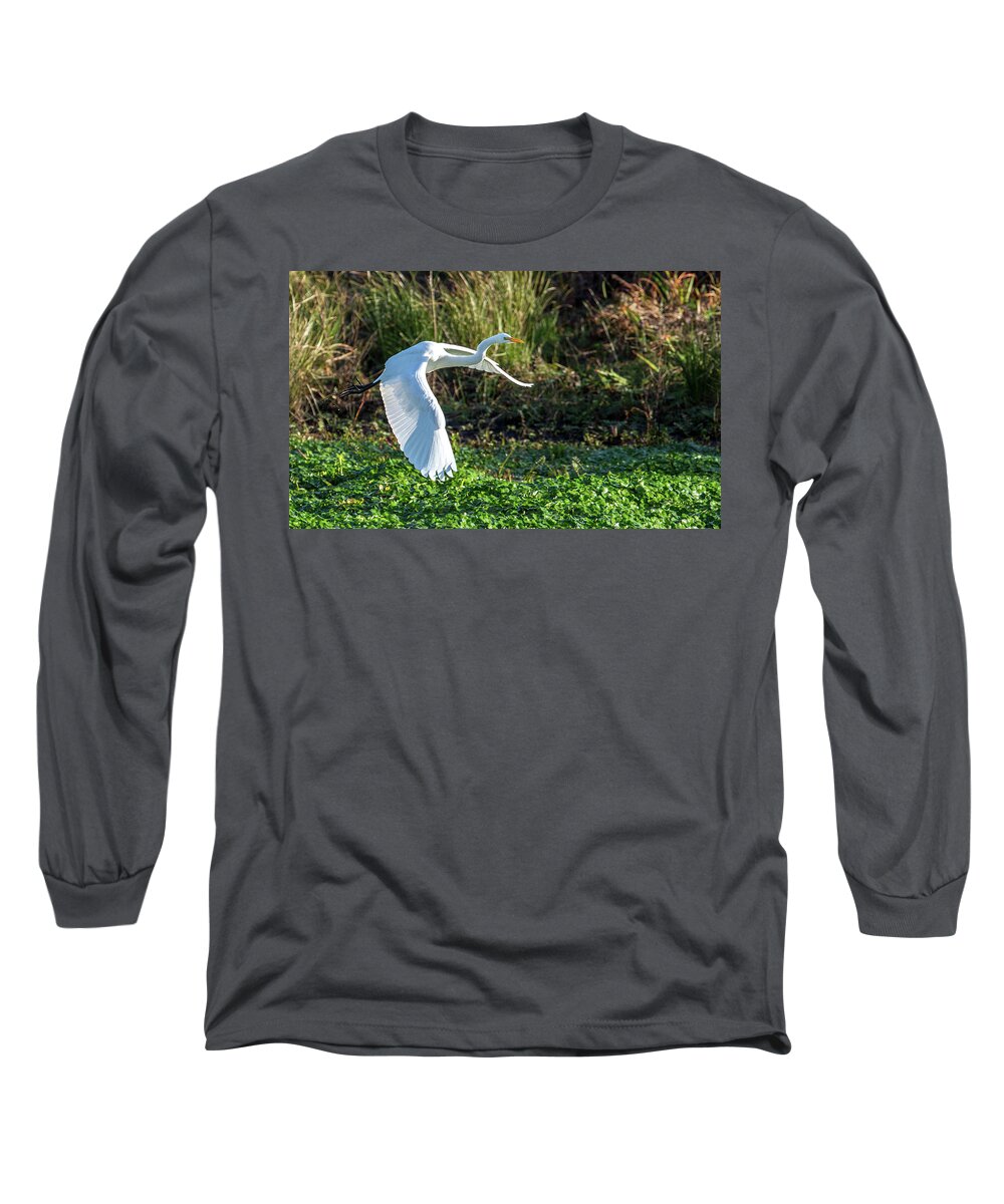 2015 Long Sleeve T-Shirt featuring the photograph Marshy Flight by Kevin Dietrich
