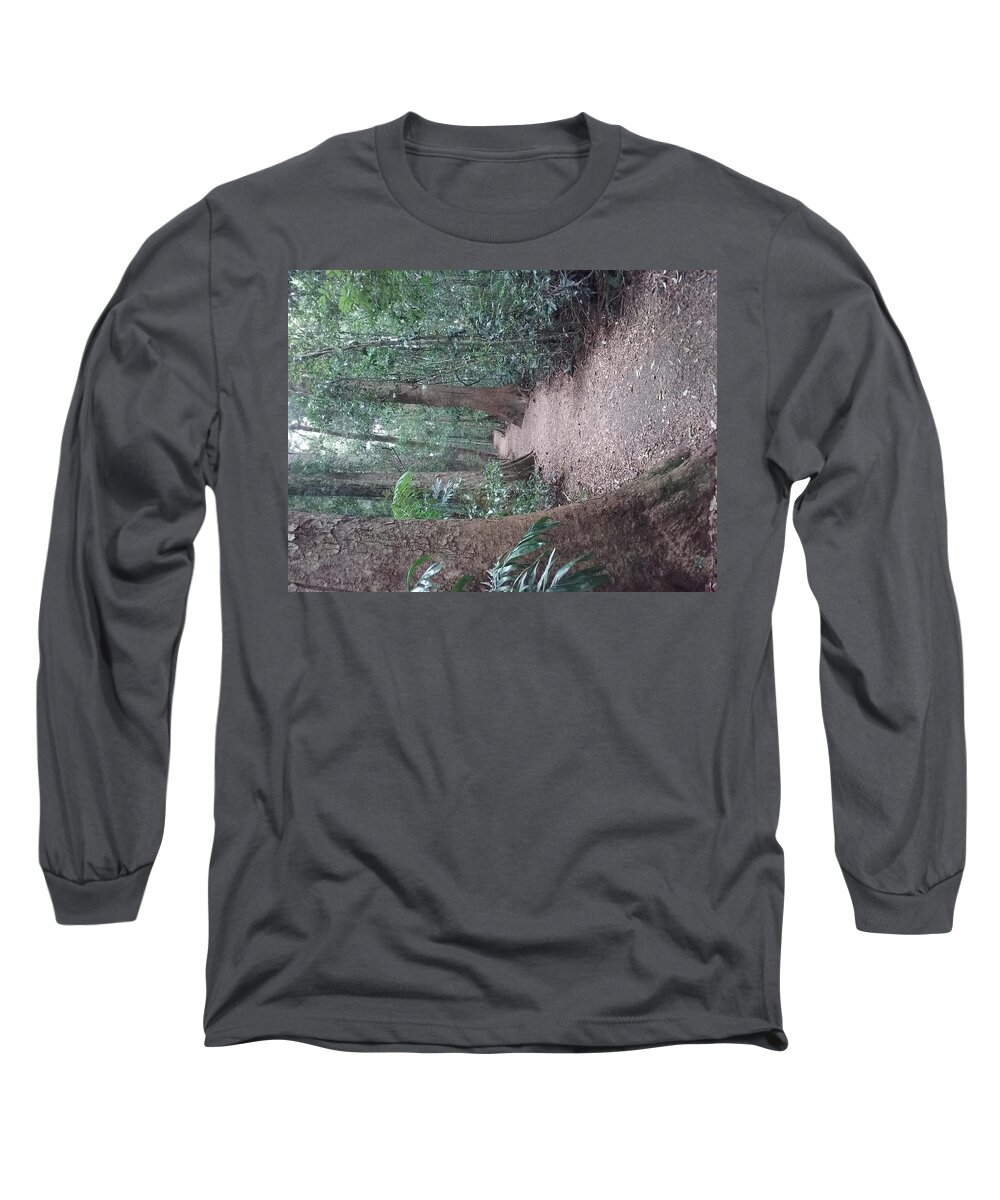 Landscape Long Sleeve T-Shirt featuring the photograph Mary Cairncross Rainforest #2 by Cassy Allsworth
