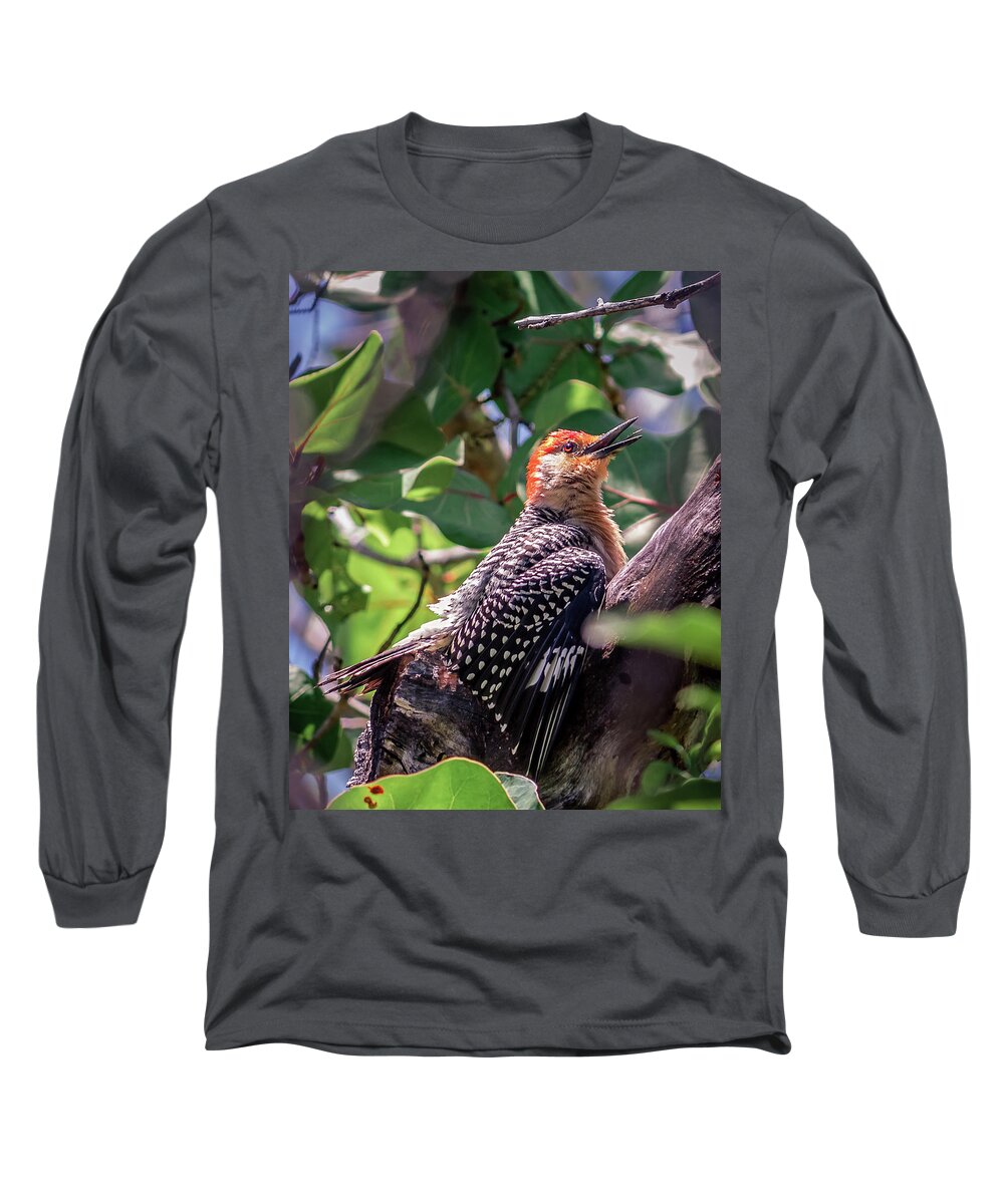 America Long Sleeve T-Shirt featuring the photograph Melanerpes carolinus by Traveler's Pics
