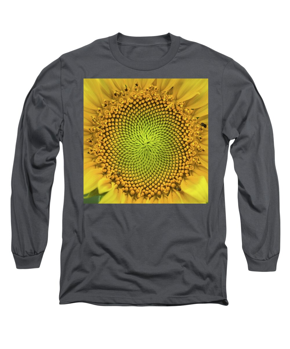 Yellow Long Sleeve T-Shirt featuring the photograph Mesmerizing by Bill Pevlor