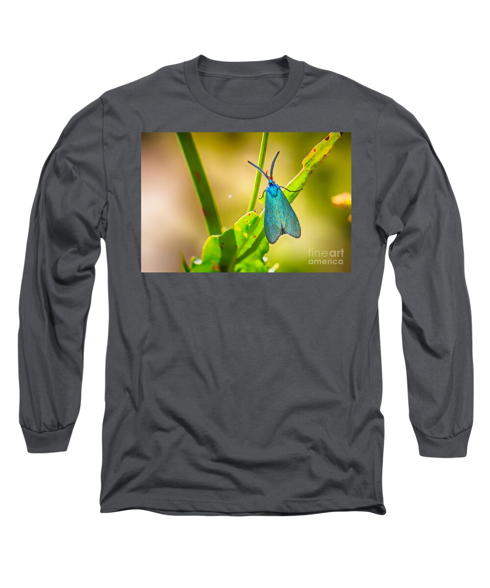 Adscita Obscura Long Sleeve T-Shirt featuring the photograph Metallic Forester Moth by Jivko Nakev