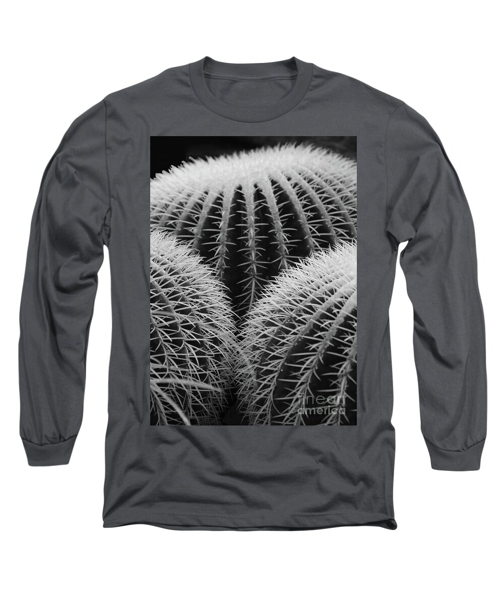 Prott Long Sleeve T-Shirt featuring the photograph Mexican Cacti by Rudi Prott