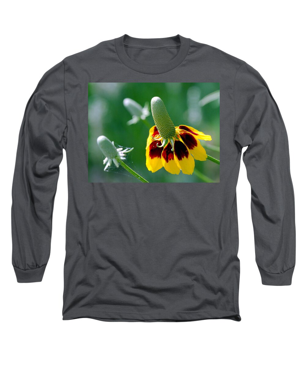 Mexican Long Sleeve T-Shirt featuring the photograph Mexican hat by James Smullins