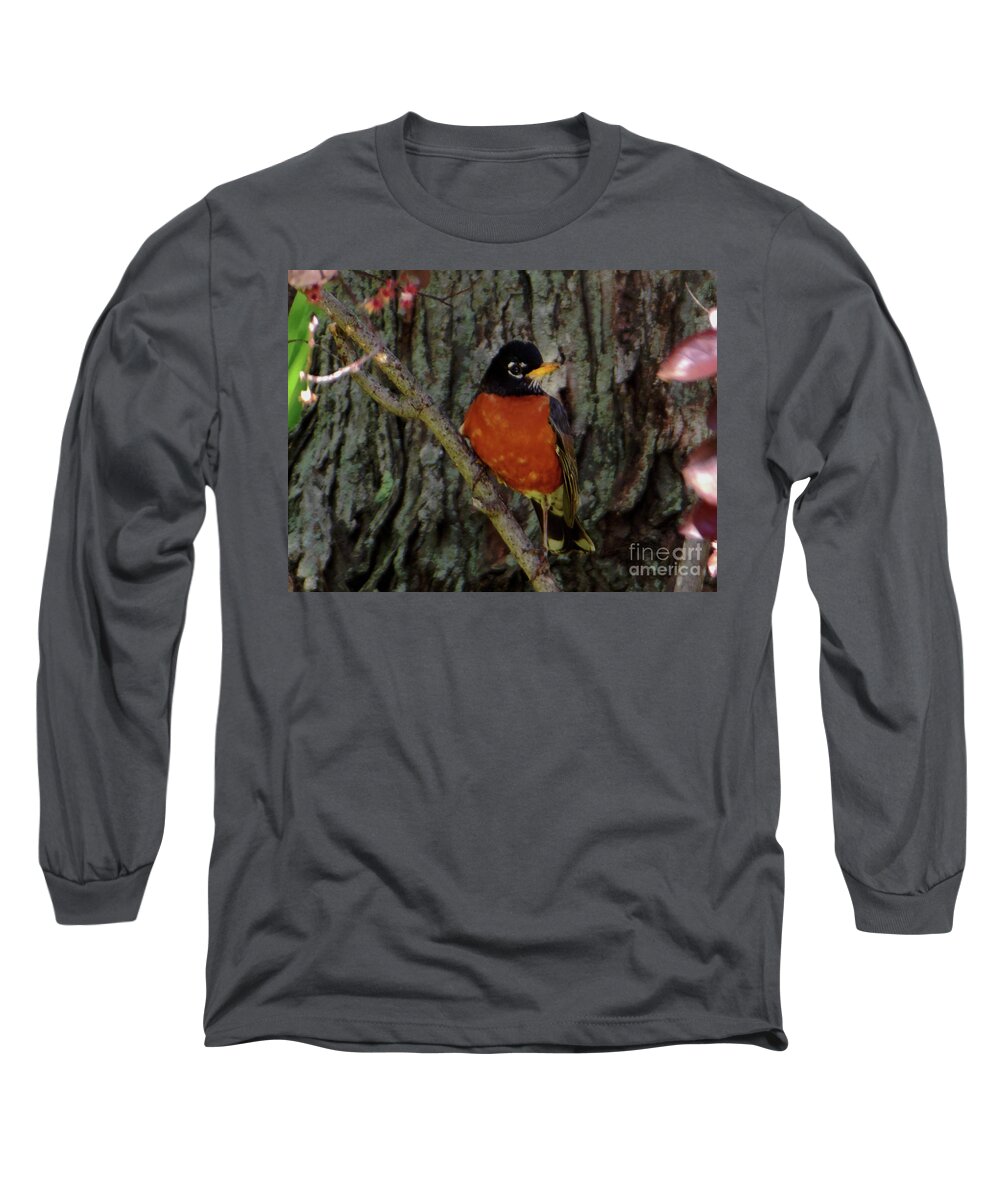 Michigan Long Sleeve T-Shirt featuring the photograph Michigan State Bird Robin by Rockin Docks Deluxephotos