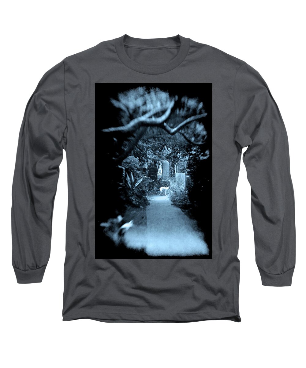 White Wolf Graveyard Overhanging Trees Oak Live Overgrown Blue Cyan Midnight Animal Mysterious Haunted Haunting Tombstones Graves Gravestones Path Selected Focus Scary Dark Long Sleeve T-Shirt featuring the photograph Midnight Wolf in the Cemetery by Jennifer Wright