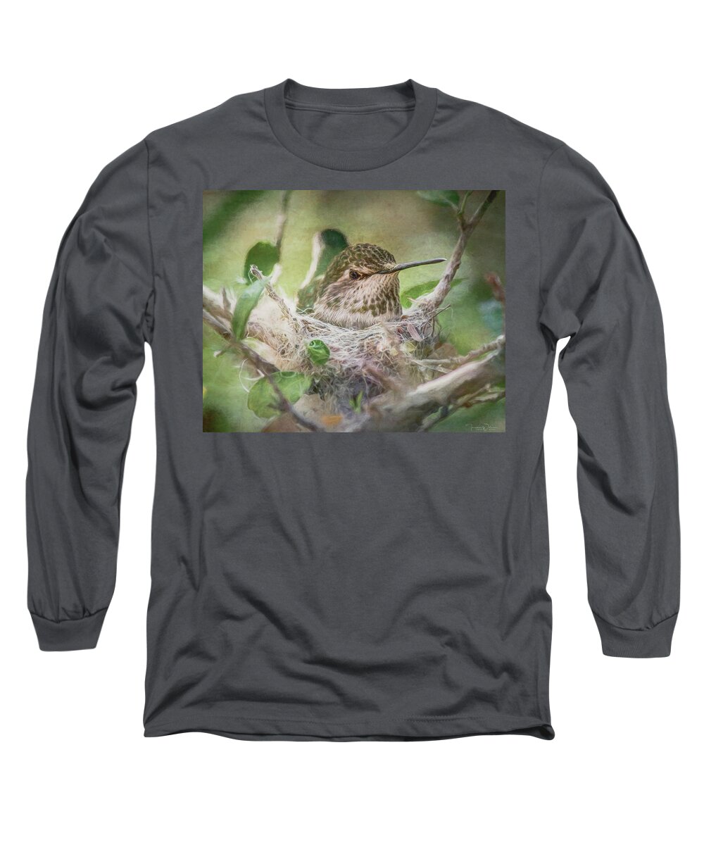 Bird Long Sleeve T-Shirt featuring the mixed media Minding the Nest by Teresa Wilson