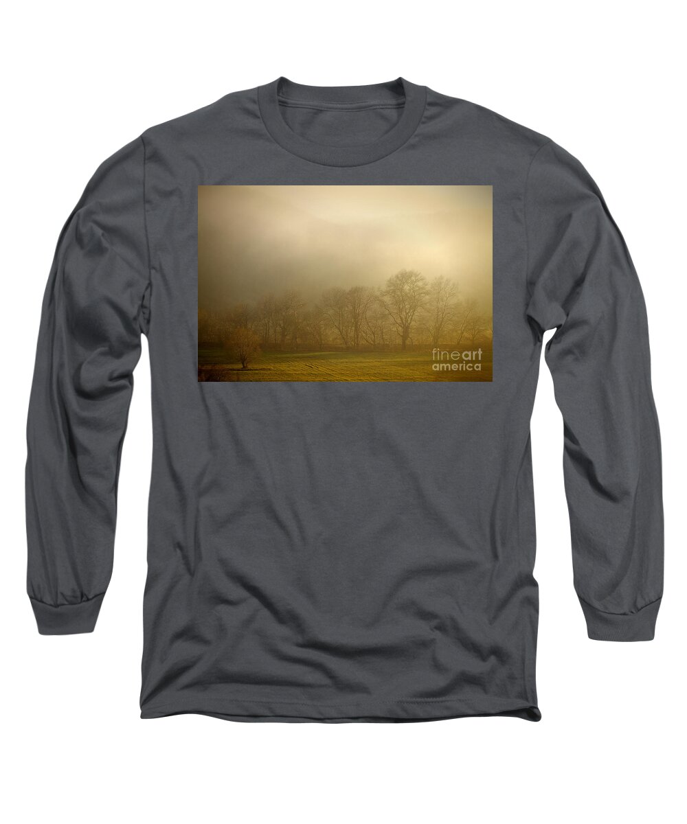 Landscape Long Sleeve T-Shirt featuring the photograph Mist in The Forest by Dimitar Hristov