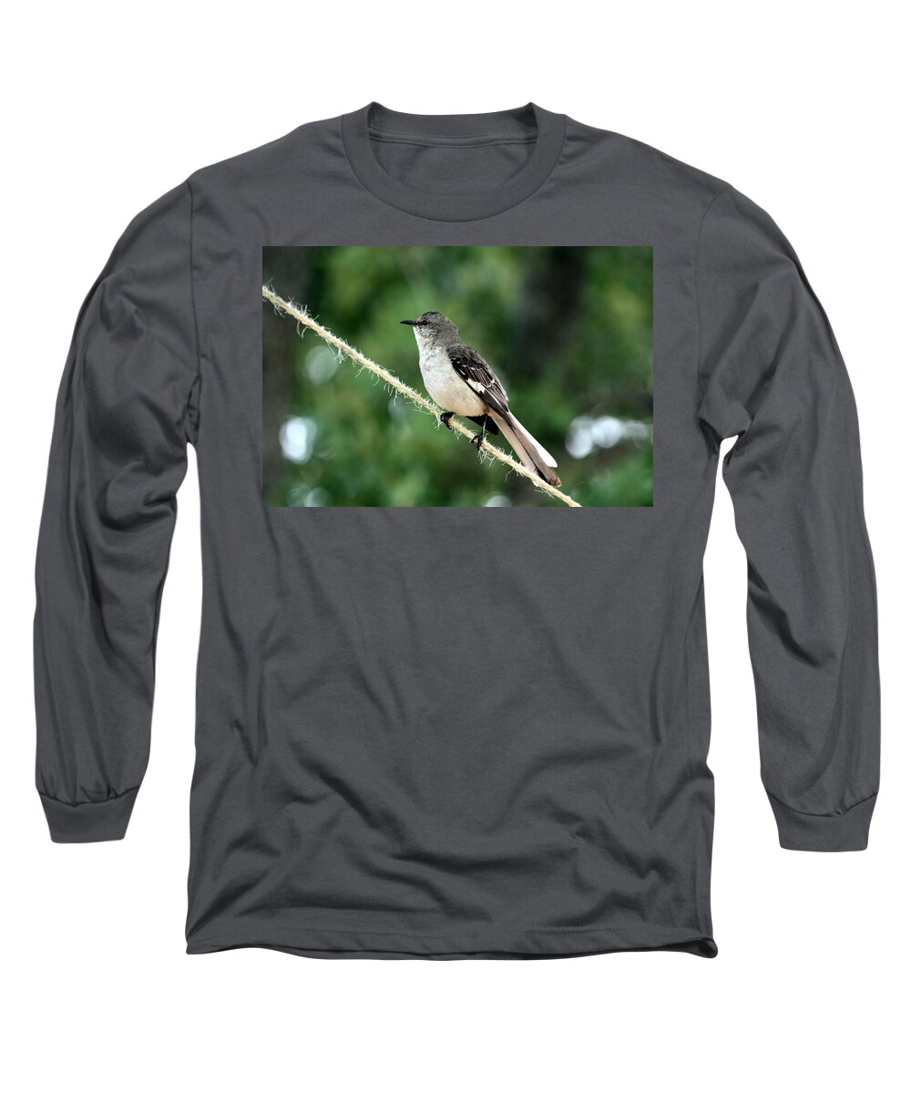 Nature Long Sleeve T-Shirt featuring the photograph Mockingbird on Rope by Sheila Brown