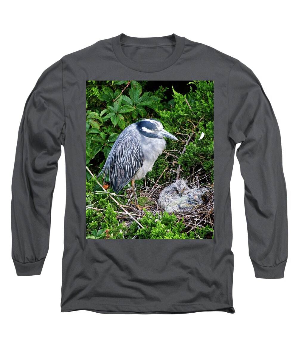 Birds Long Sleeve T-Shirt featuring the photograph Mommy and Baby by Paul Ross