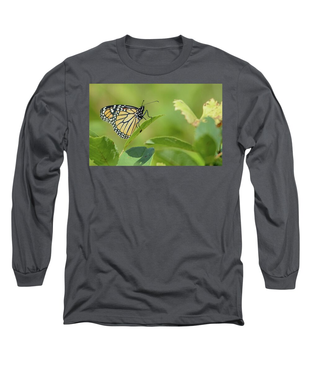 Monarch Butterfly Long Sleeve T-Shirt featuring the photograph Monarch Butterfly by Peter Ponzio