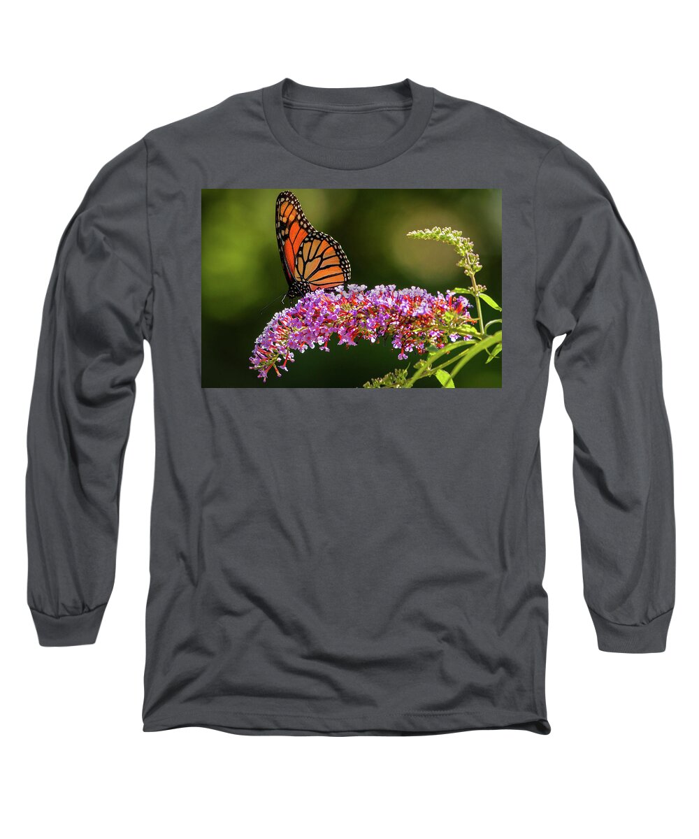 Butterfly Long Sleeve T-Shirt featuring the photograph Monarch by Craig Szymanski