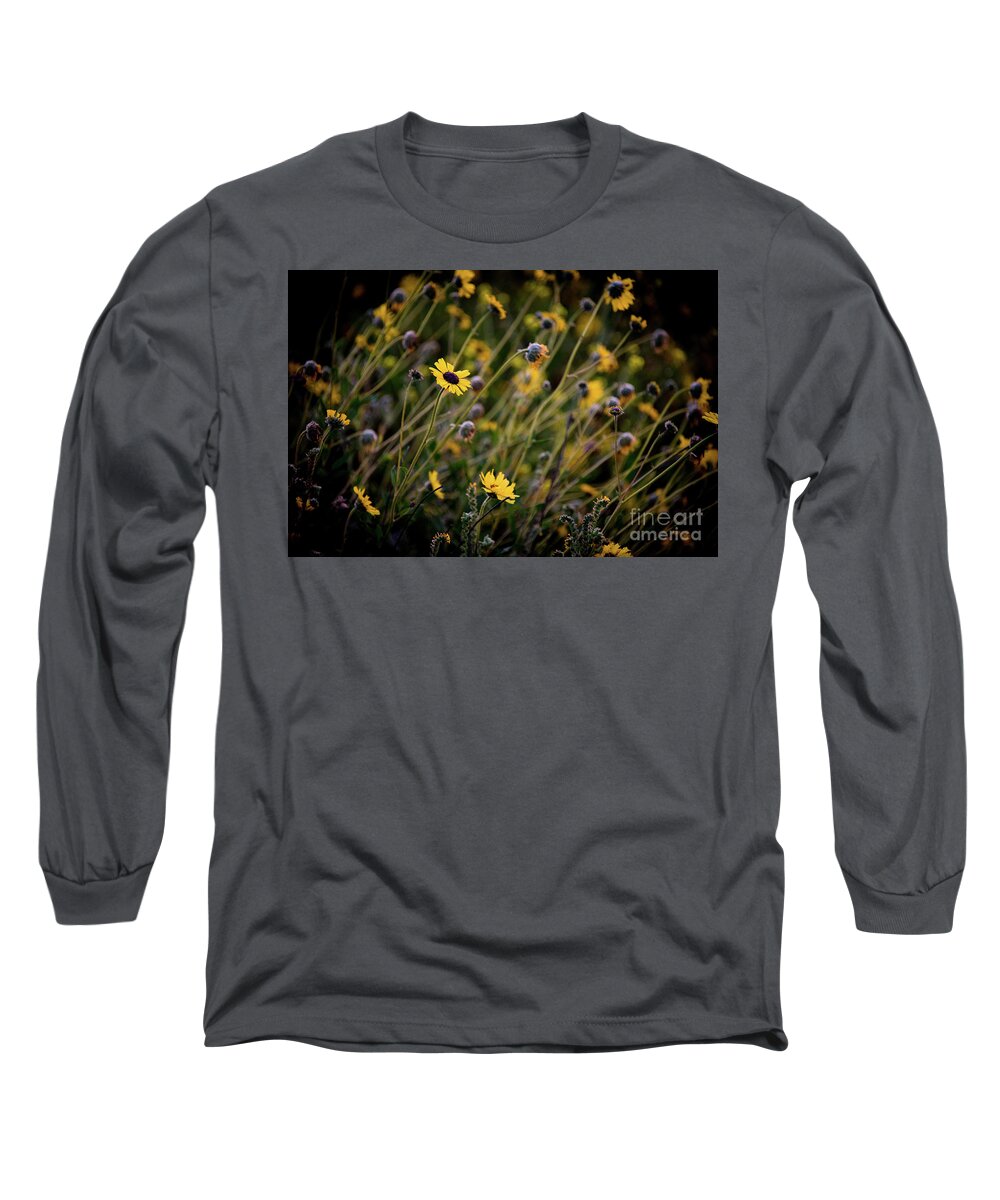 Spring Long Sleeve T-Shirt featuring the photograph Morning Flowers by Kelly Wade