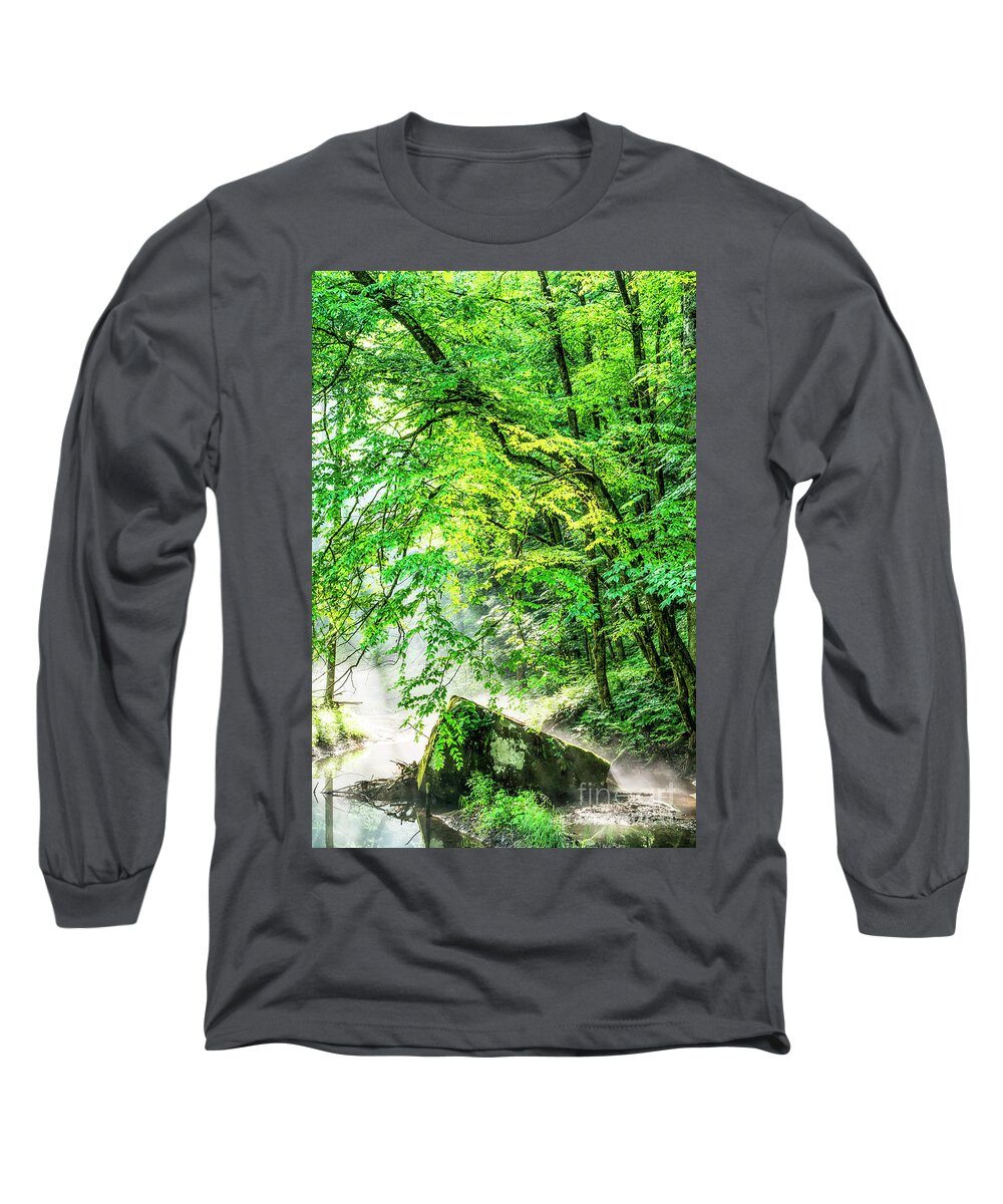 Spring Long Sleeve T-Shirt featuring the photograph Morning Light in the Forest by Thomas R Fletcher