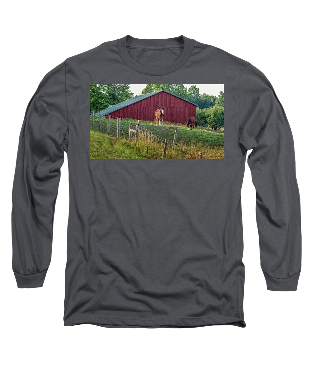 Horse Long Sleeve T-Shirt featuring the photograph Morning in the Pasture by Rod Best