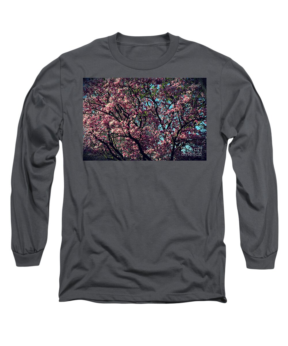 Frank J Casella Long Sleeve T-Shirt featuring the photograph Morning Lit Magnolia by Frank J Casella