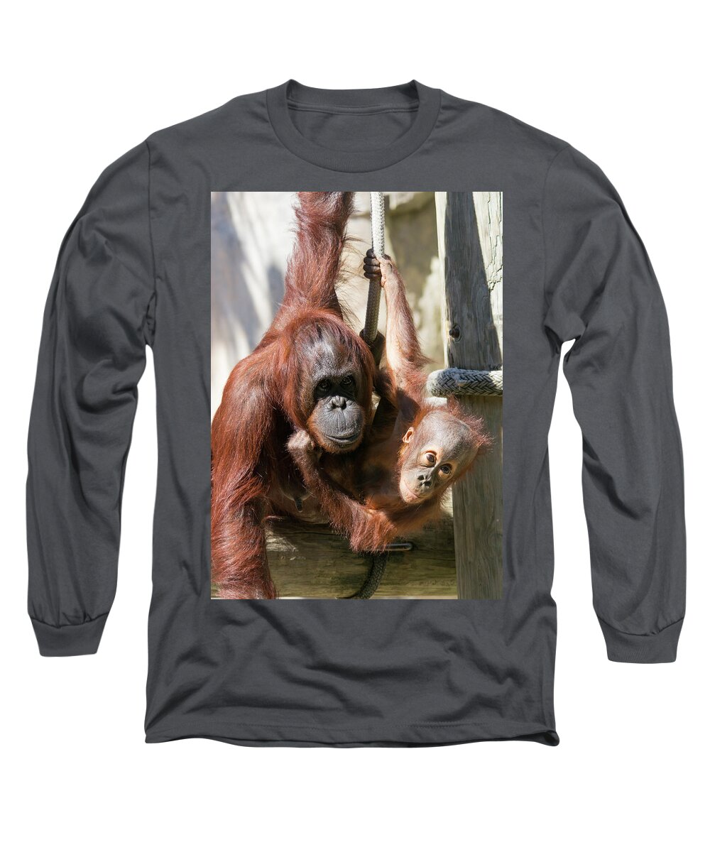Orangutan Long Sleeve T-Shirt featuring the photograph Mother and Baby Waiting For Lunch by John Black