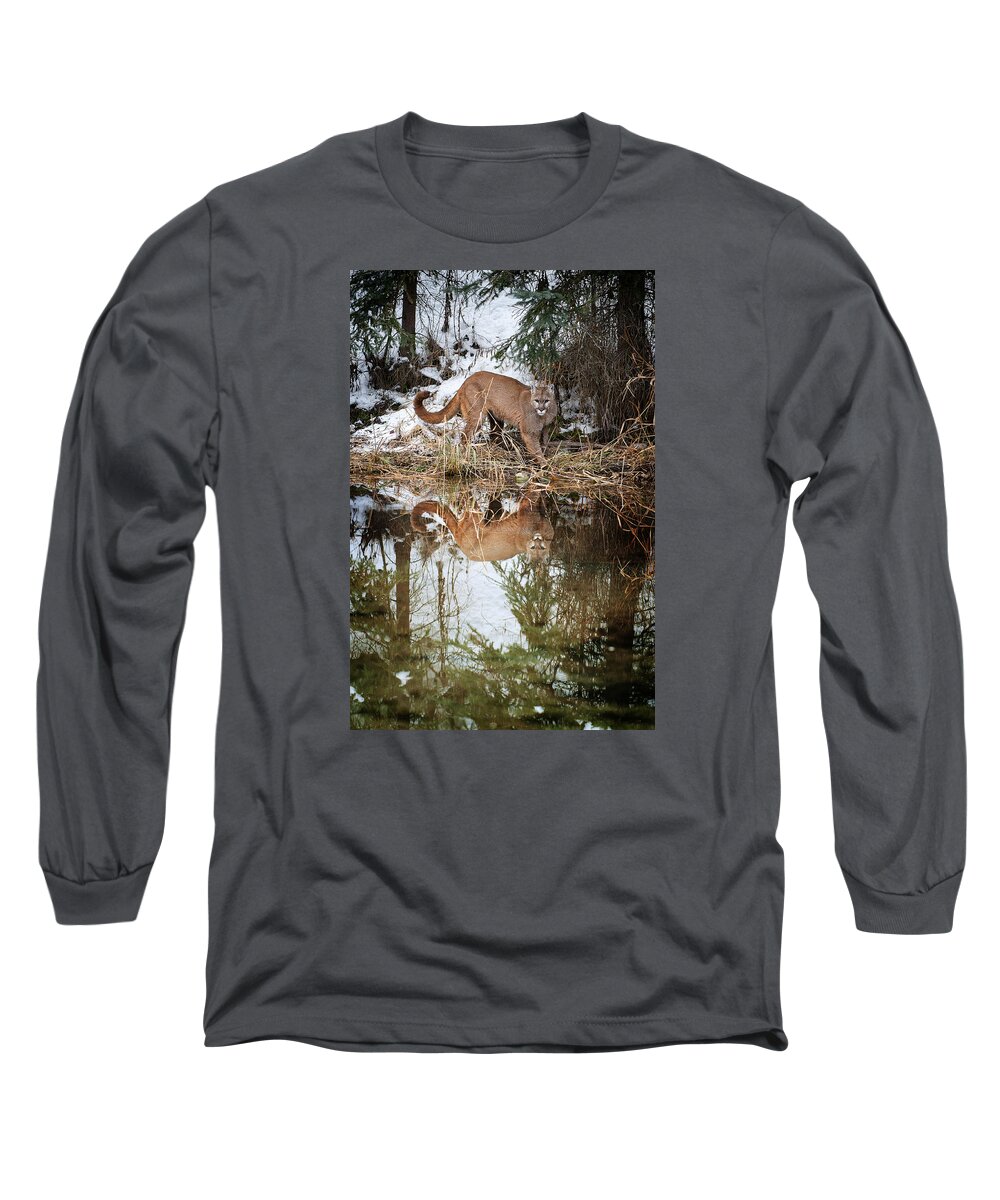 Mountain Lion Long Sleeve T-Shirt featuring the photograph Mountain Lion Reflection by Scott Read