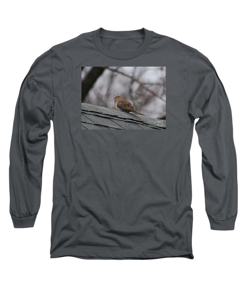 Mourning Dove Long Sleeve T-Shirt featuring the photograph Mourning Dove 20120318_1a by Tina Hopkins