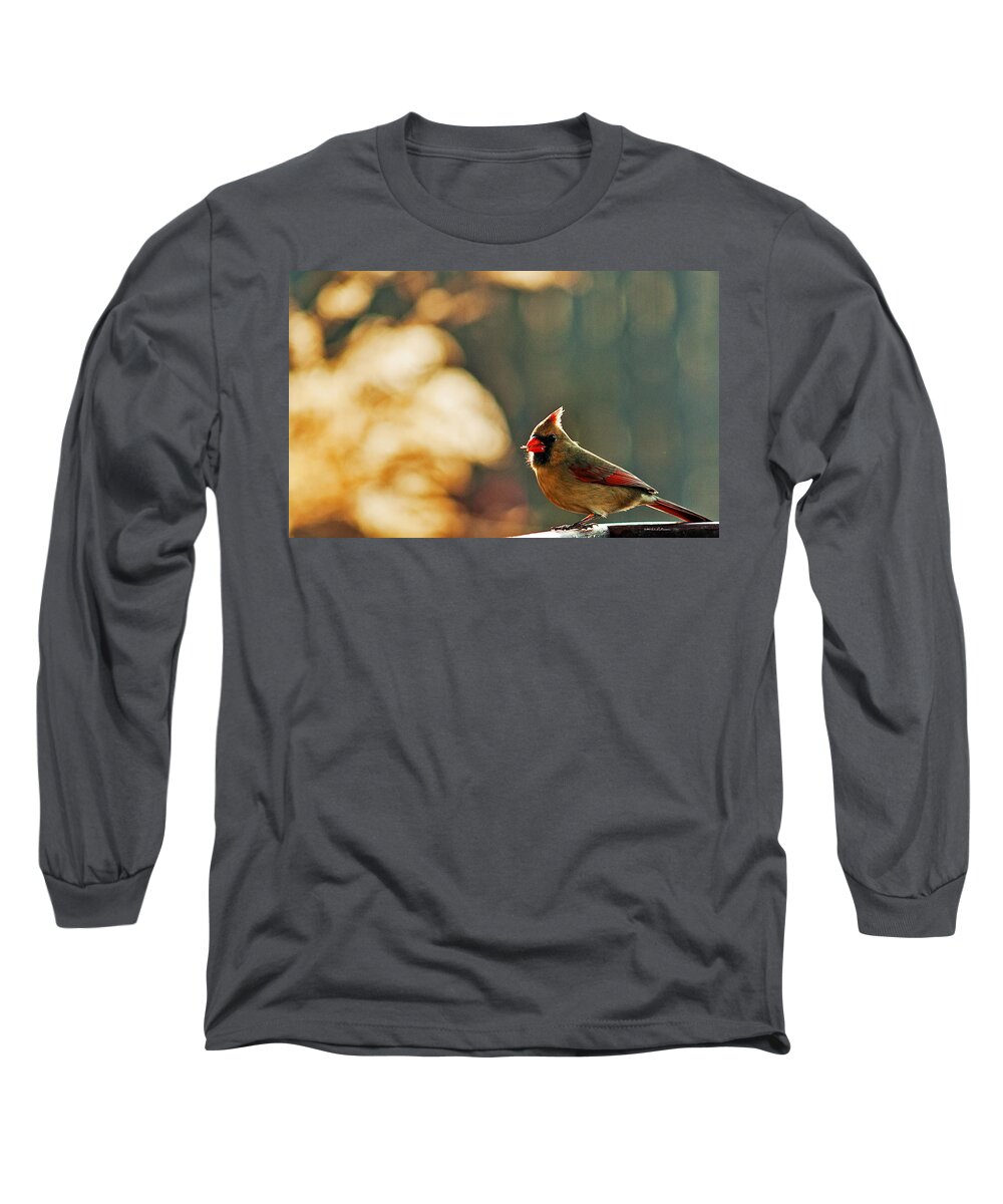 Northern Cardinal Long Sleeve T-Shirt featuring the photograph Mouthful by Ed Peterson