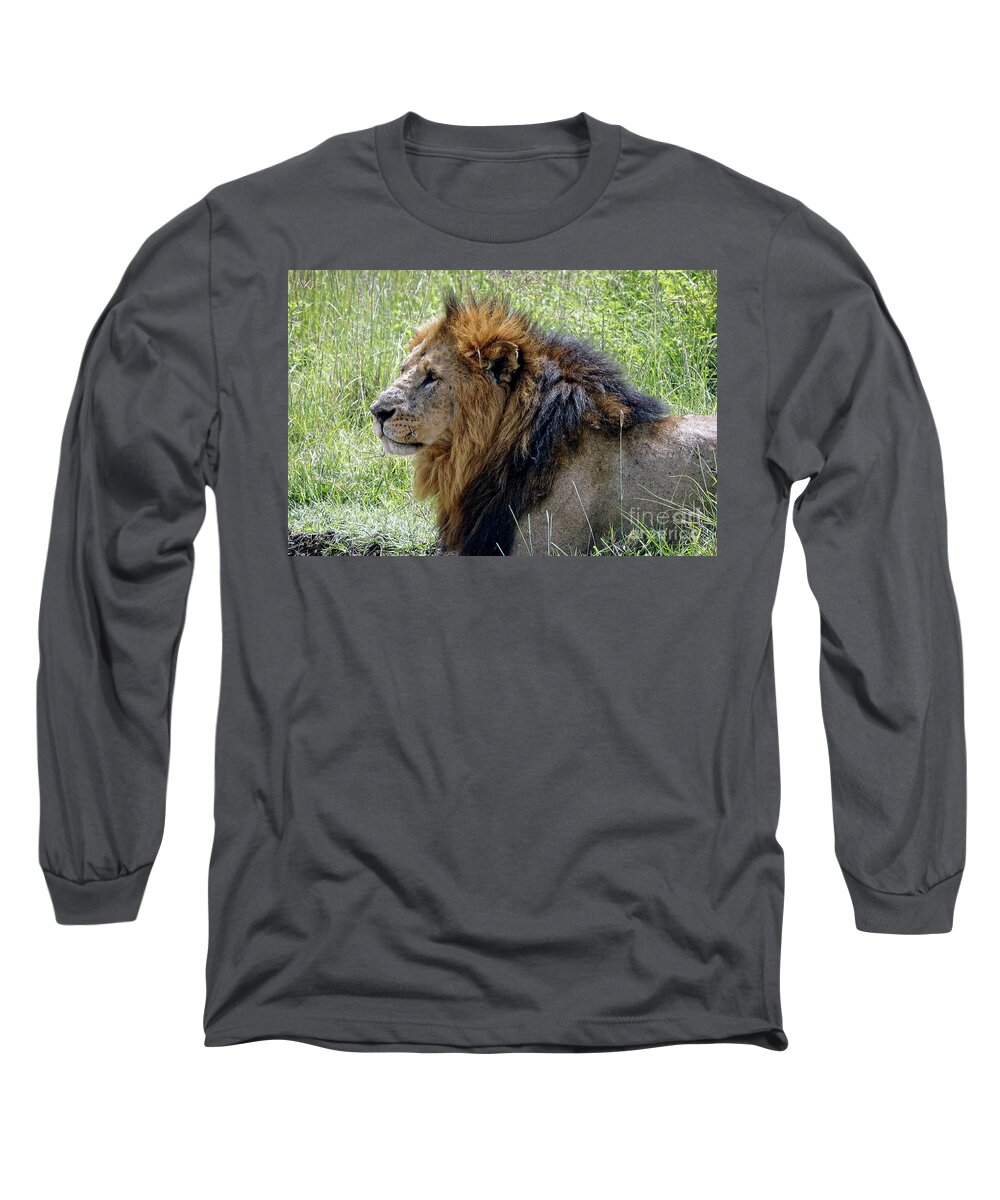 African Lion Long Sleeve T-Shirt featuring the photograph Mr. Big Stuff by Stephen Schwiesow