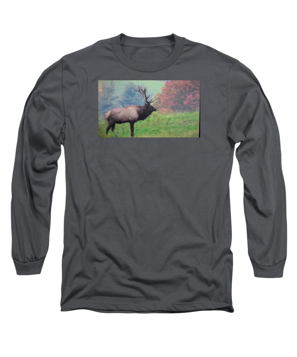 Elk Long Sleeve T-Shirt featuring the photograph Mr Elk enjoying the Autumn by Jeanette Oberholtzer
