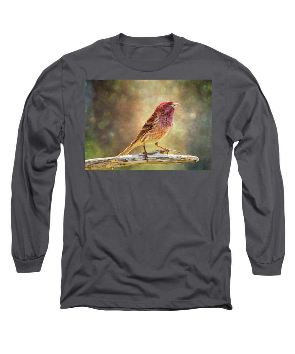 Chordata Long Sleeve T-Shirt featuring the photograph Mr Finch Afternoon Bokeh by Bill and Linda Tiepelman