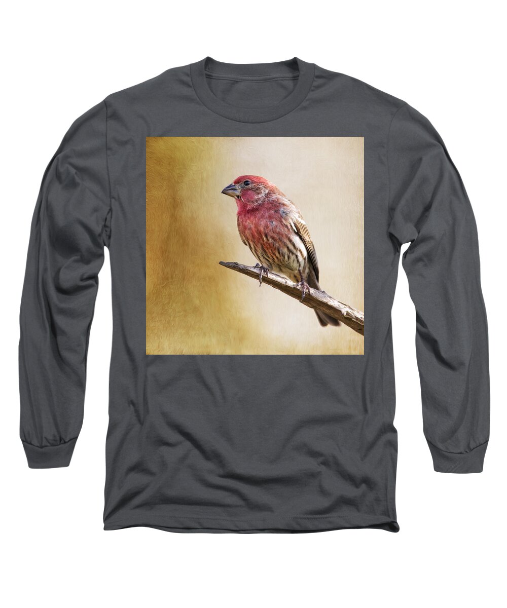Carpodacus Long Sleeve T-Shirt featuring the photograph Mr Finch Standing Tall by Bill and Linda Tiepelman