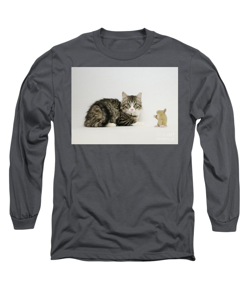 David Schultz Long Sleeve T-Shirt featuring the photograph Ms Alexia and mouse by Irina ArchAngelSkaya