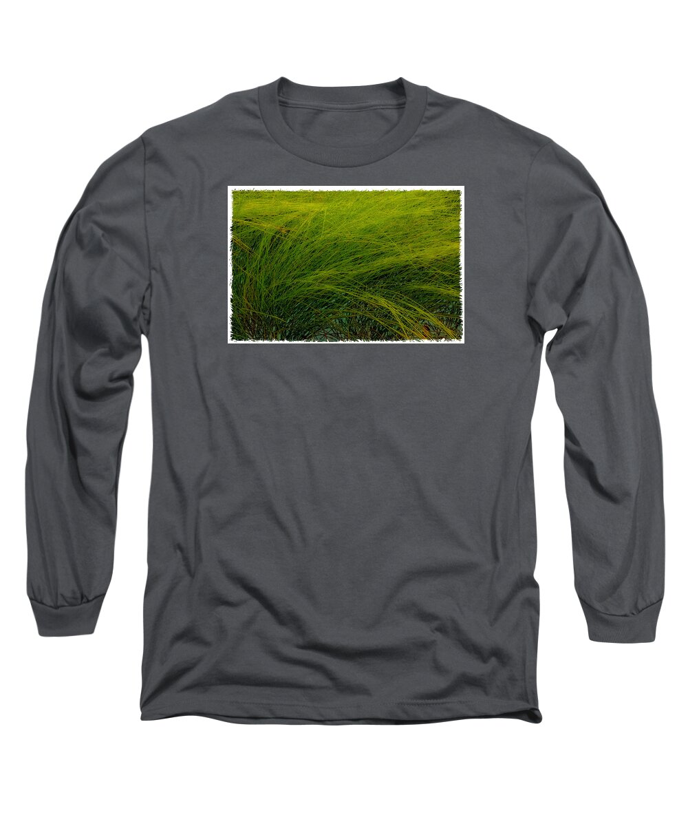 Grass Long Sleeve T-Shirt featuring the photograph Muchas Grassius by Joe Ownbey