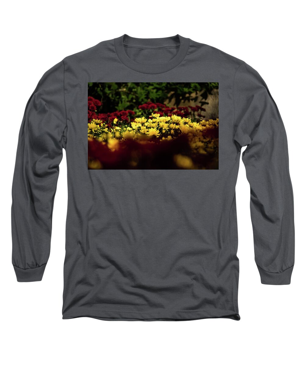 Jay Stockhaus Long Sleeve T-Shirt featuring the photograph Mums by Jay Stockhaus