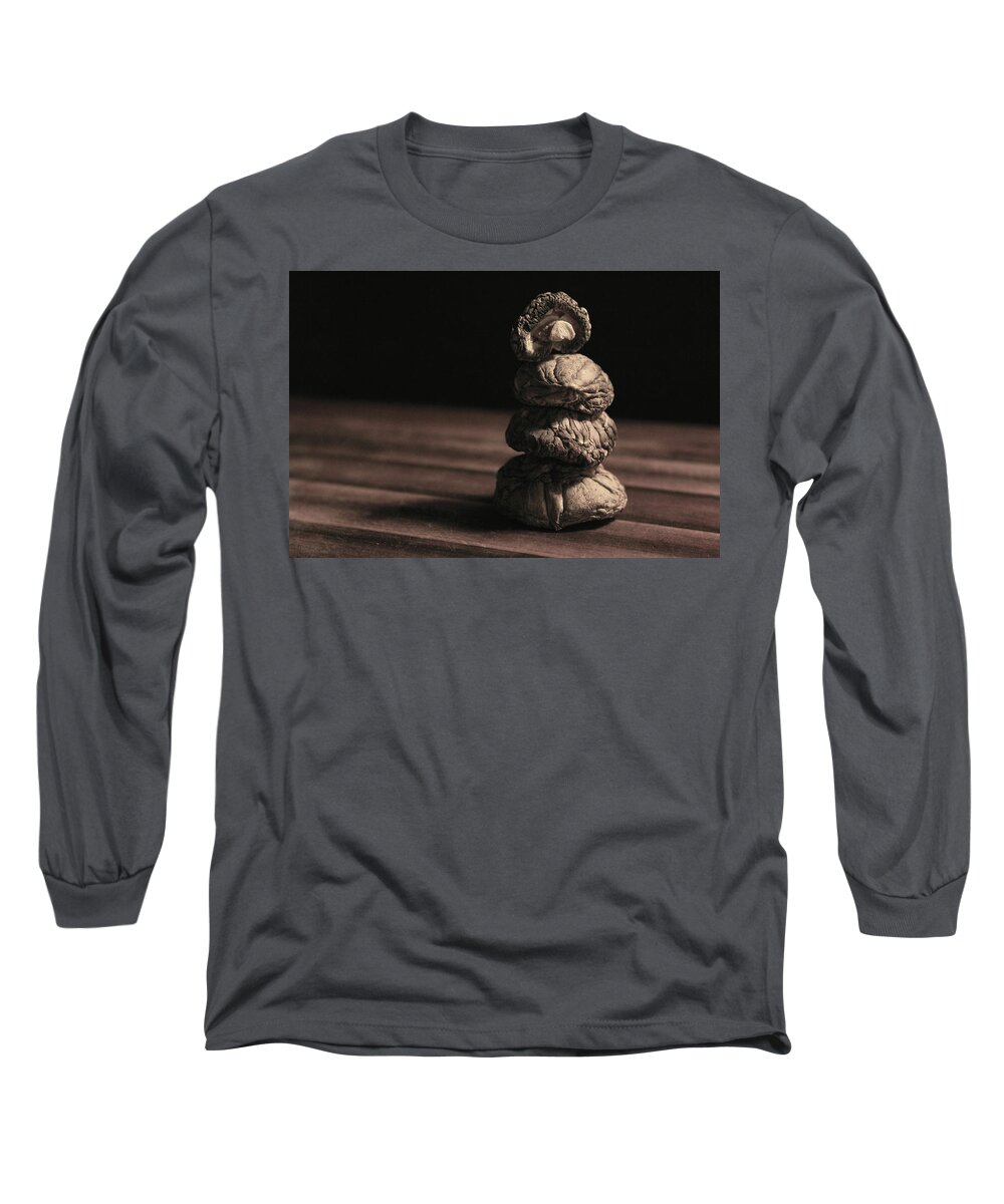 Mushrooms Long Sleeve T-Shirt featuring the photograph Mushroom Cairn by Holly Ross