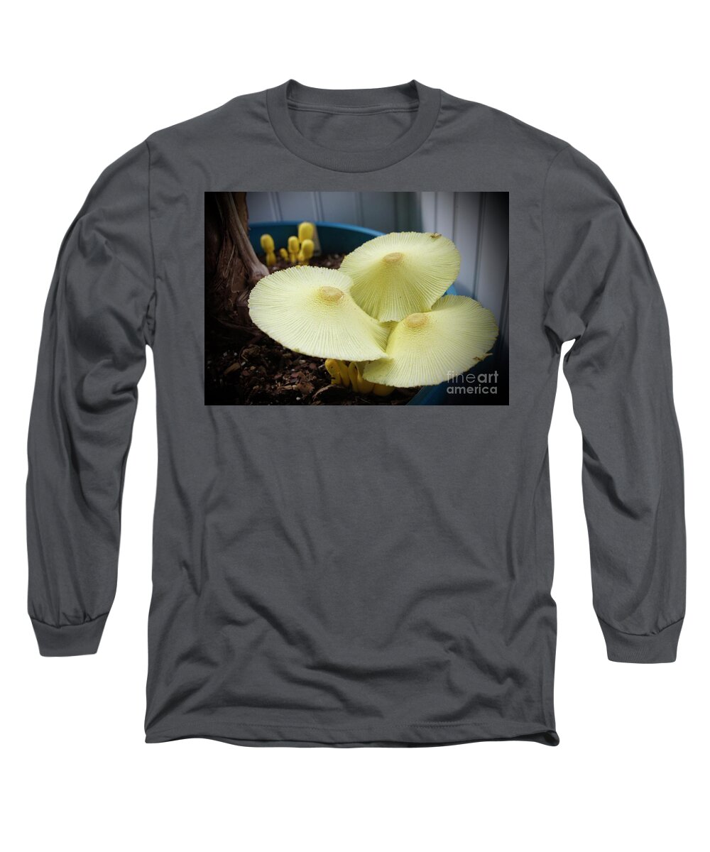 Mushrooms Long Sleeve T-Shirt featuring the photograph Mushrooms by Megan Cohen