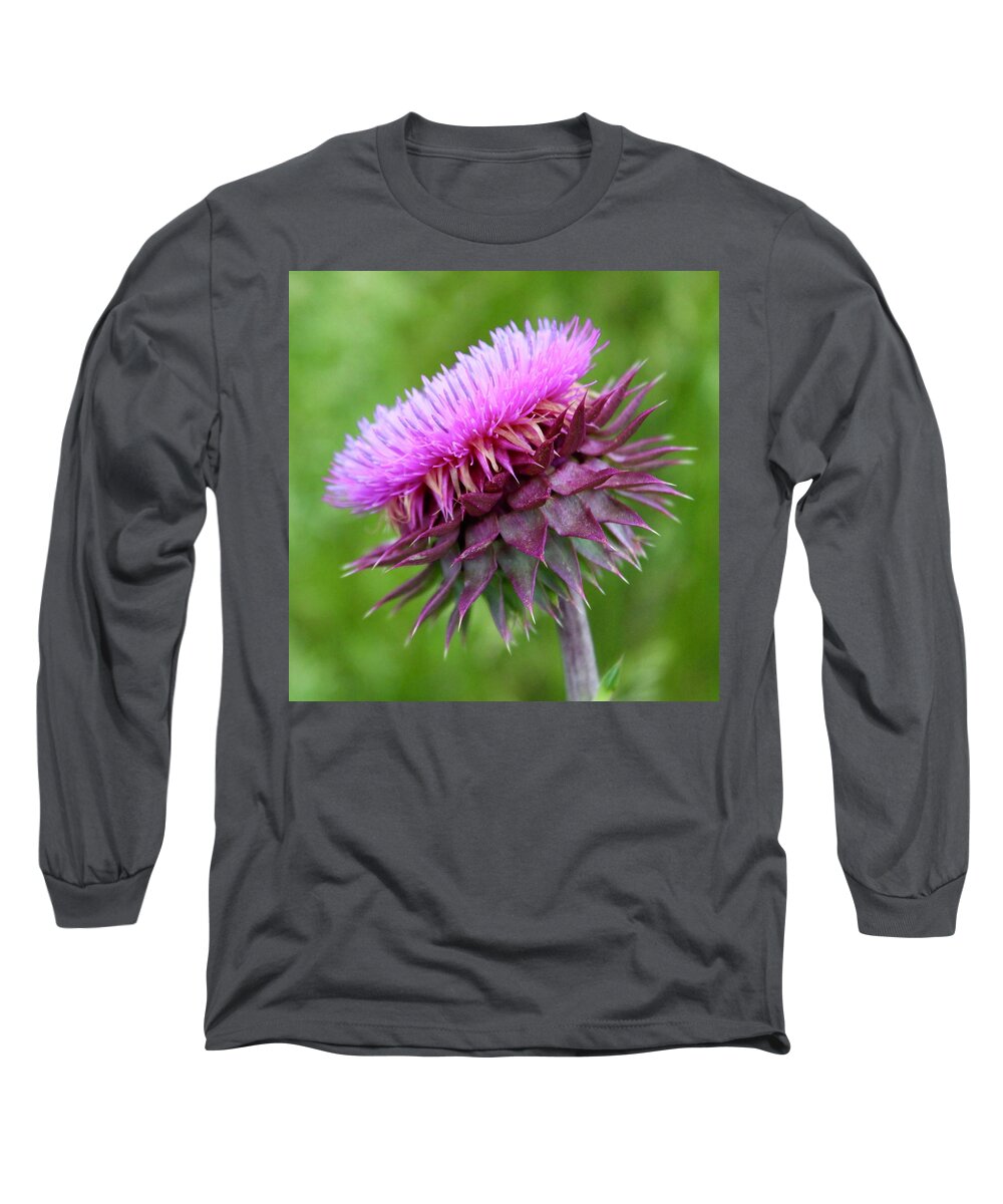 Photograph Long Sleeve T-Shirt featuring the photograph Musk Thistle Blooming by M E