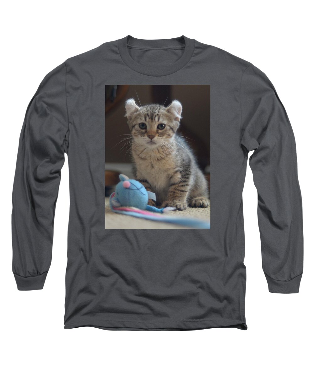 Kittens Long Sleeve T-Shirt featuring the photograph My Toy by Craig Incardone