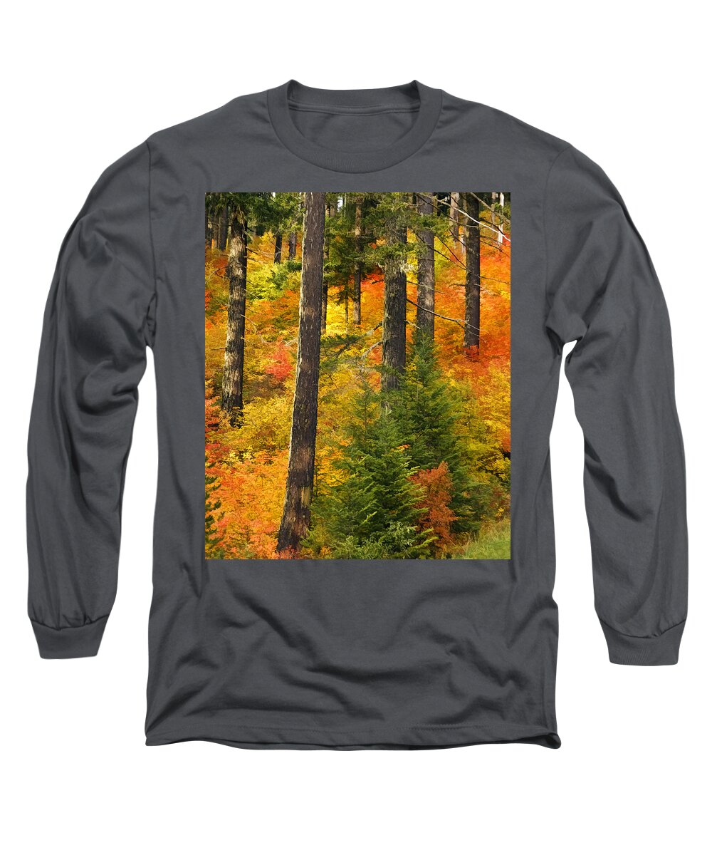Nw Autumn Long Sleeve T-Shirt featuring the photograph N W Autumn by Wes and Dotty Weber