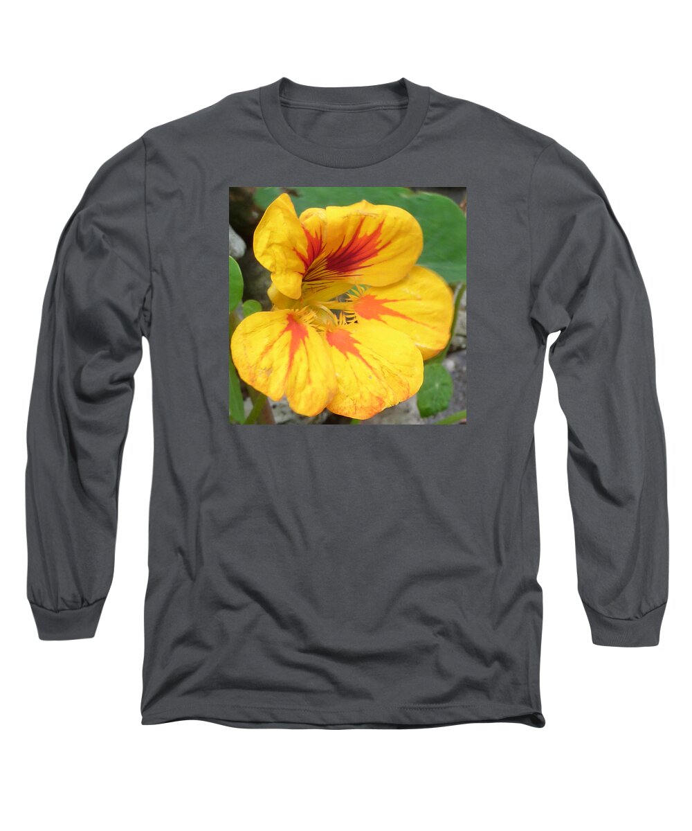 Flower Long Sleeve T-Shirt featuring the photograph Nasturtium Flower by Lukasz Ryszka
