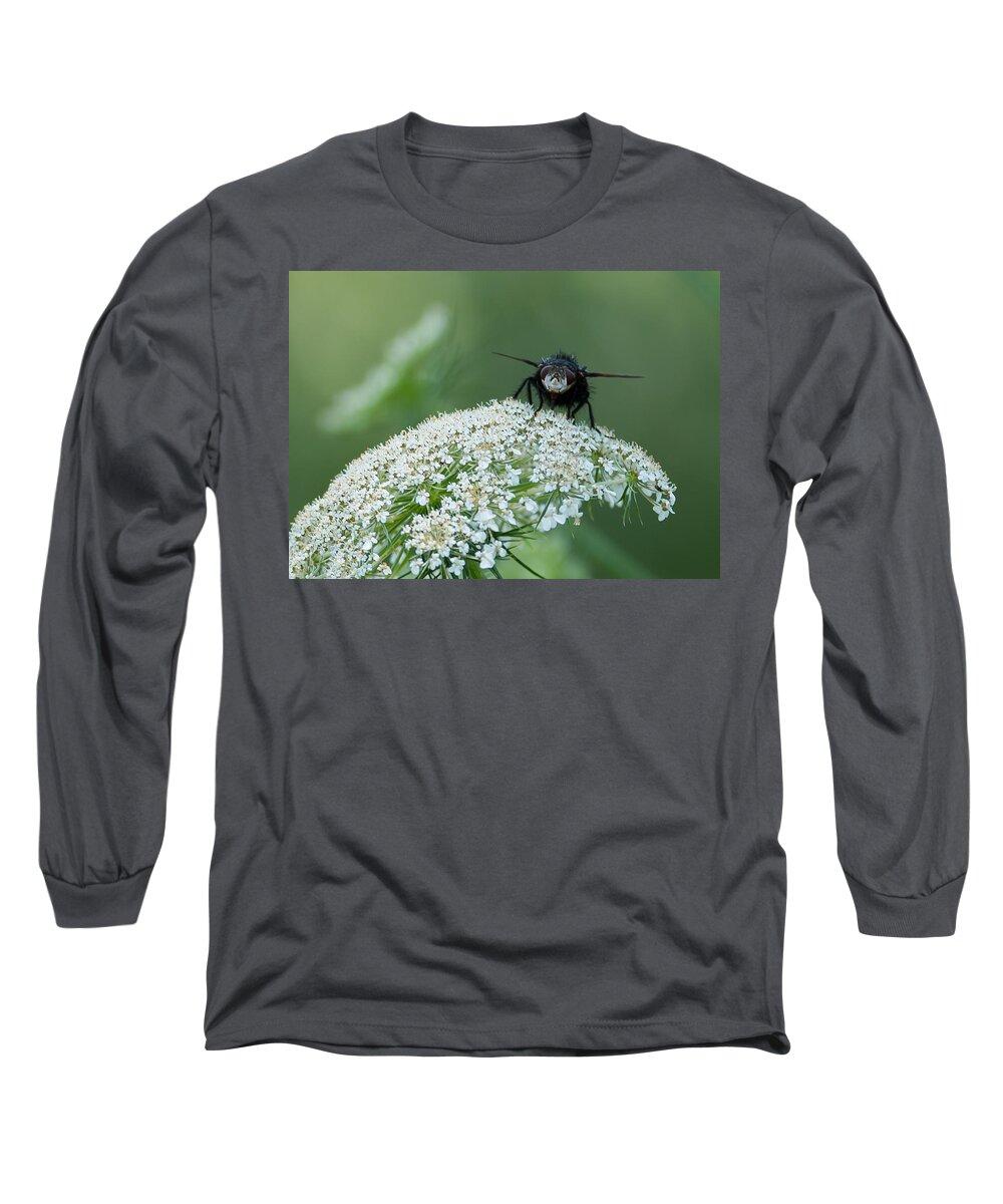 Plant Long Sleeve T-Shirt featuring the photograph Nature Up Close by Holden The Moment
