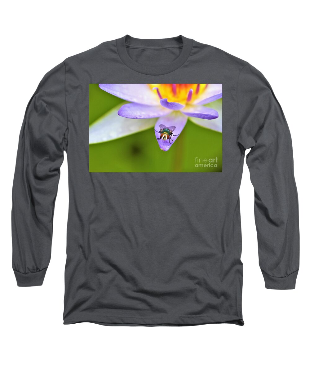 Insect Long Sleeve T-Shirt featuring the photograph Natures Colours by Tracey Lee Cassin