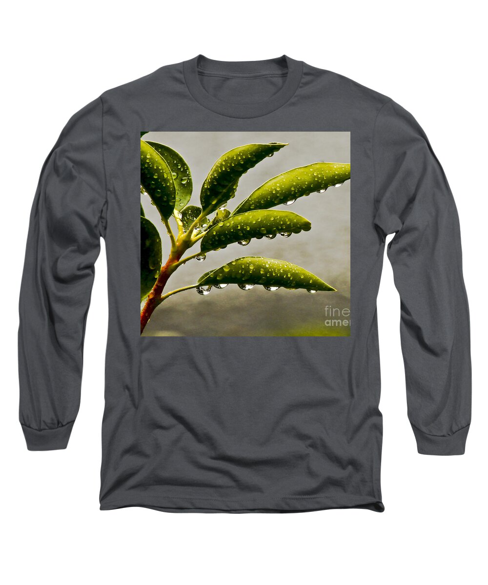 Wet Long Sleeve T-Shirt featuring the photograph Early Morning Raindrops by Carol F Austin