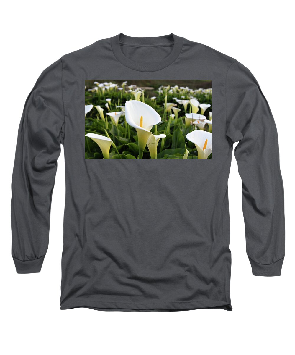Flowers Long Sleeve T-Shirt featuring the photograph Natures Perfection by Diane Bohna