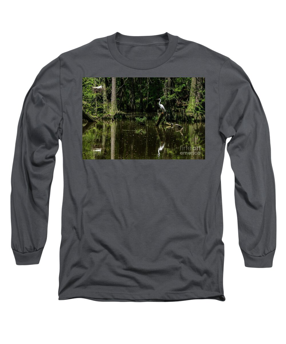 Nesting Egrets Long Sleeve T-Shirt featuring the photograph Nesting Egrets by David Smith
