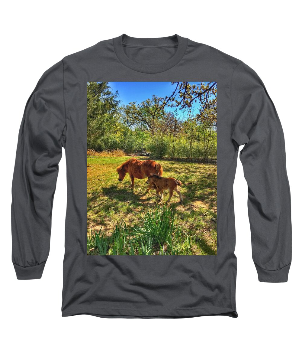 Horses Long Sleeve T-Shirt featuring the photograph New Birth by Doris Aguirre