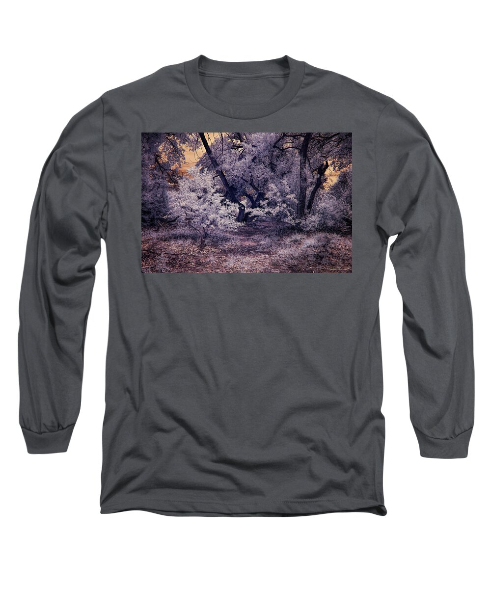 New Mexico Long Sleeve T-Shirt featuring the photograph New Growth in the Bosque by Michael McKenney