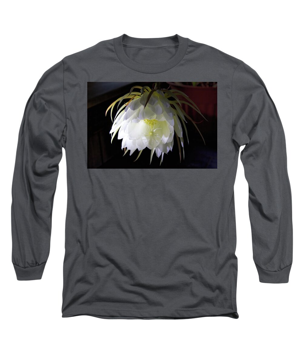 Flower Long Sleeve T-Shirt featuring the photograph Night Blooming Cereus by Alana Thrower
