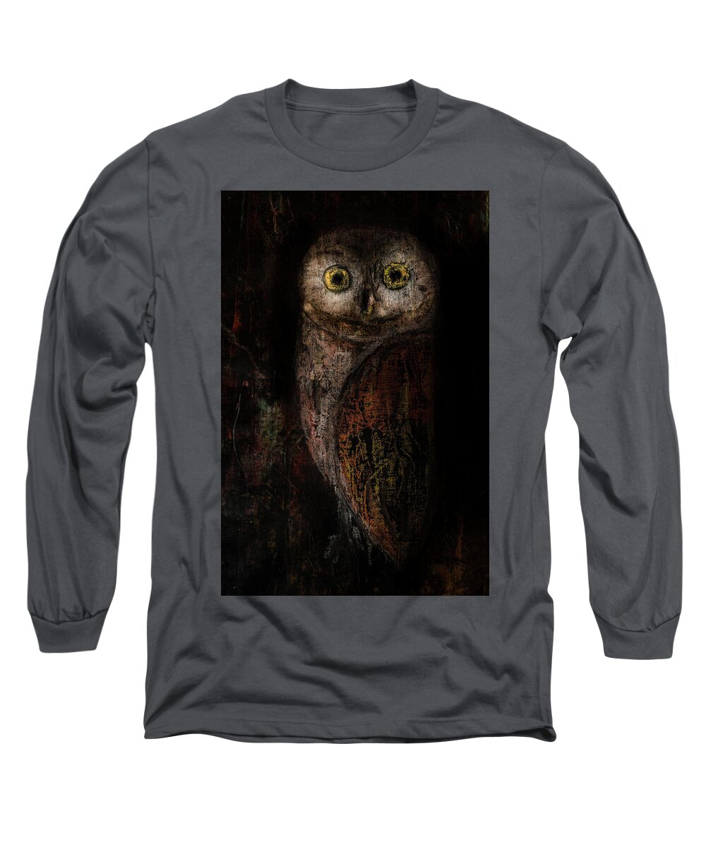 Owl Paintings- #owllovers #owls- #owlpaintings -abstract Art #paintingsbyraeannmgarrett Art By Rae Ann M. Garrett - Owl Art Long Sleeve T-Shirt featuring the painting Night Jewel by Rae Ann M Garrett