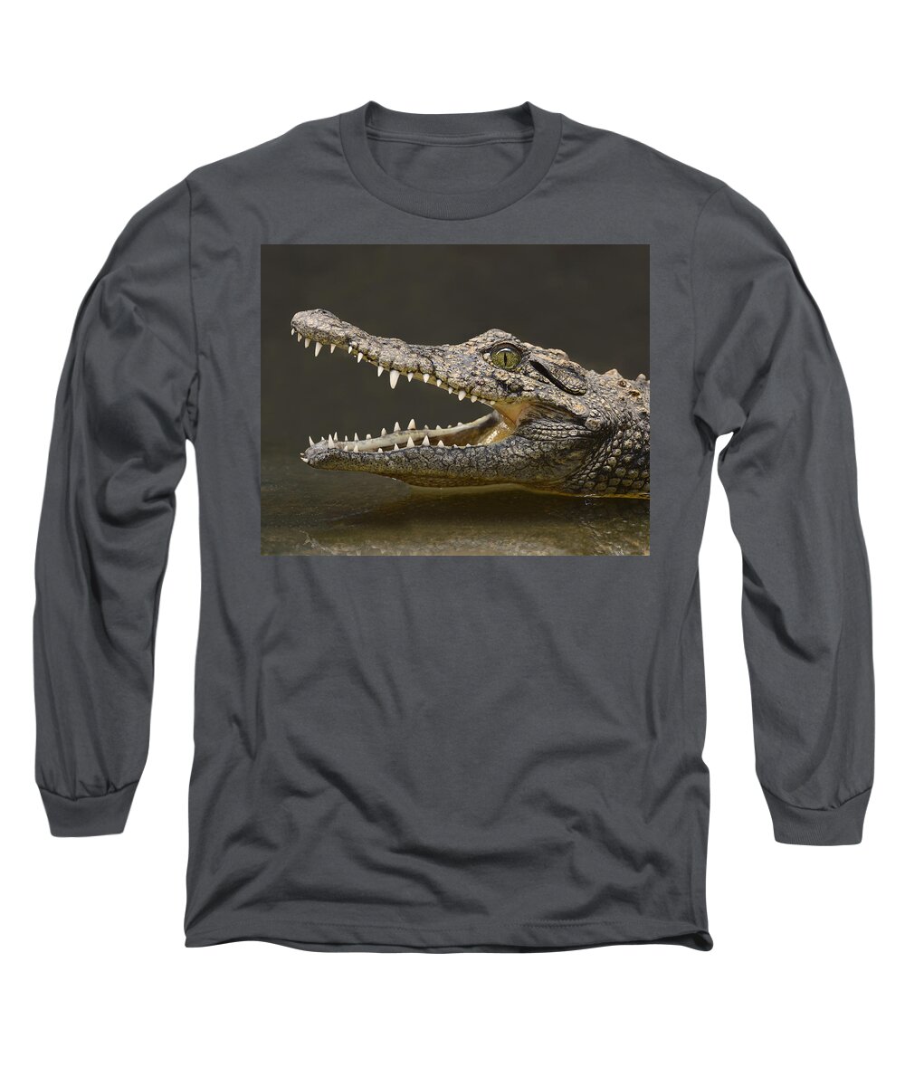 Crocodylus Niloticus Long Sleeve T-Shirt featuring the photograph Nile Crocodile by Tony Beck
