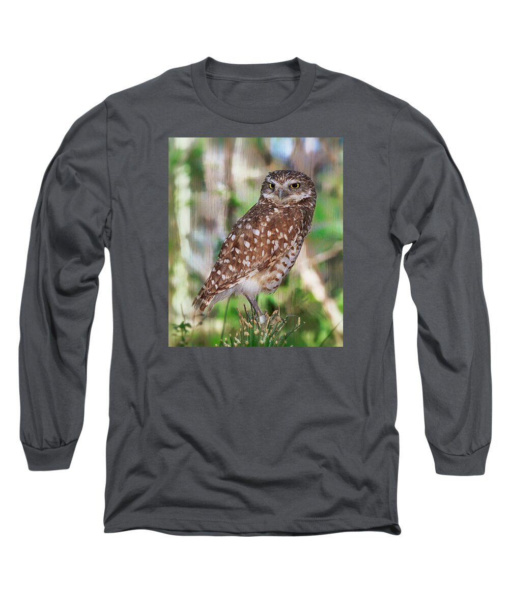 Owls Long Sleeve T-Shirt featuring the photograph Observer by Elaine Malott